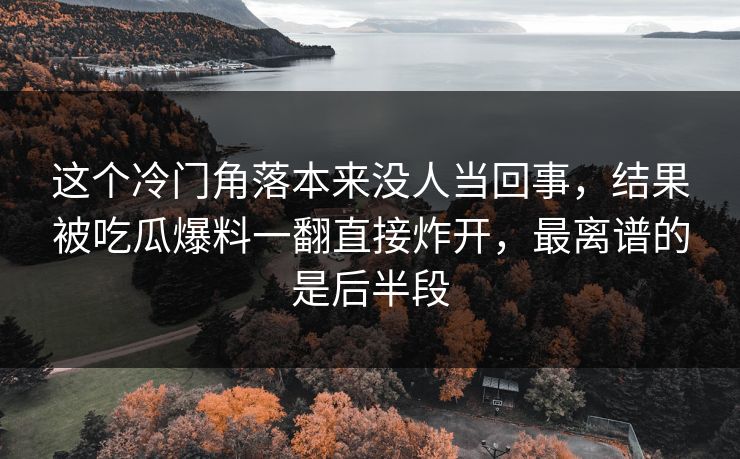这个冷门角落本来没人当回事，结果被吃瓜爆料一翻直接炸开，最离谱的是后半段