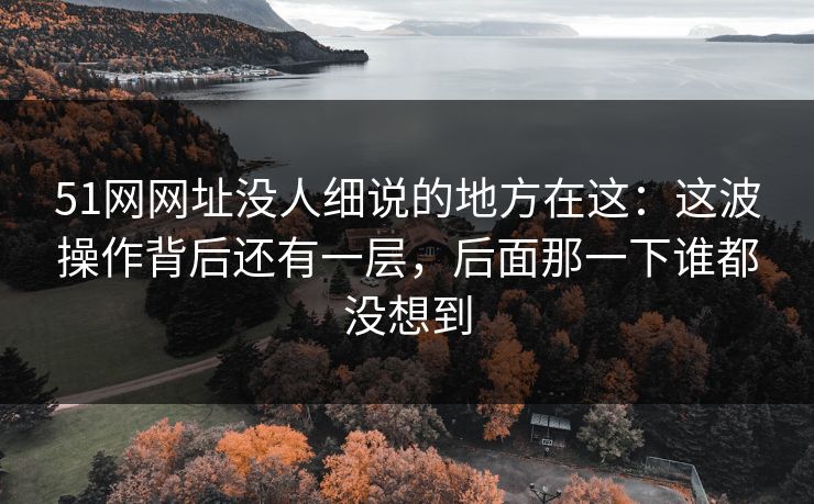 51网网址没人细说的地方在这：这波操作背后还有一层，后面那一下谁都没想到